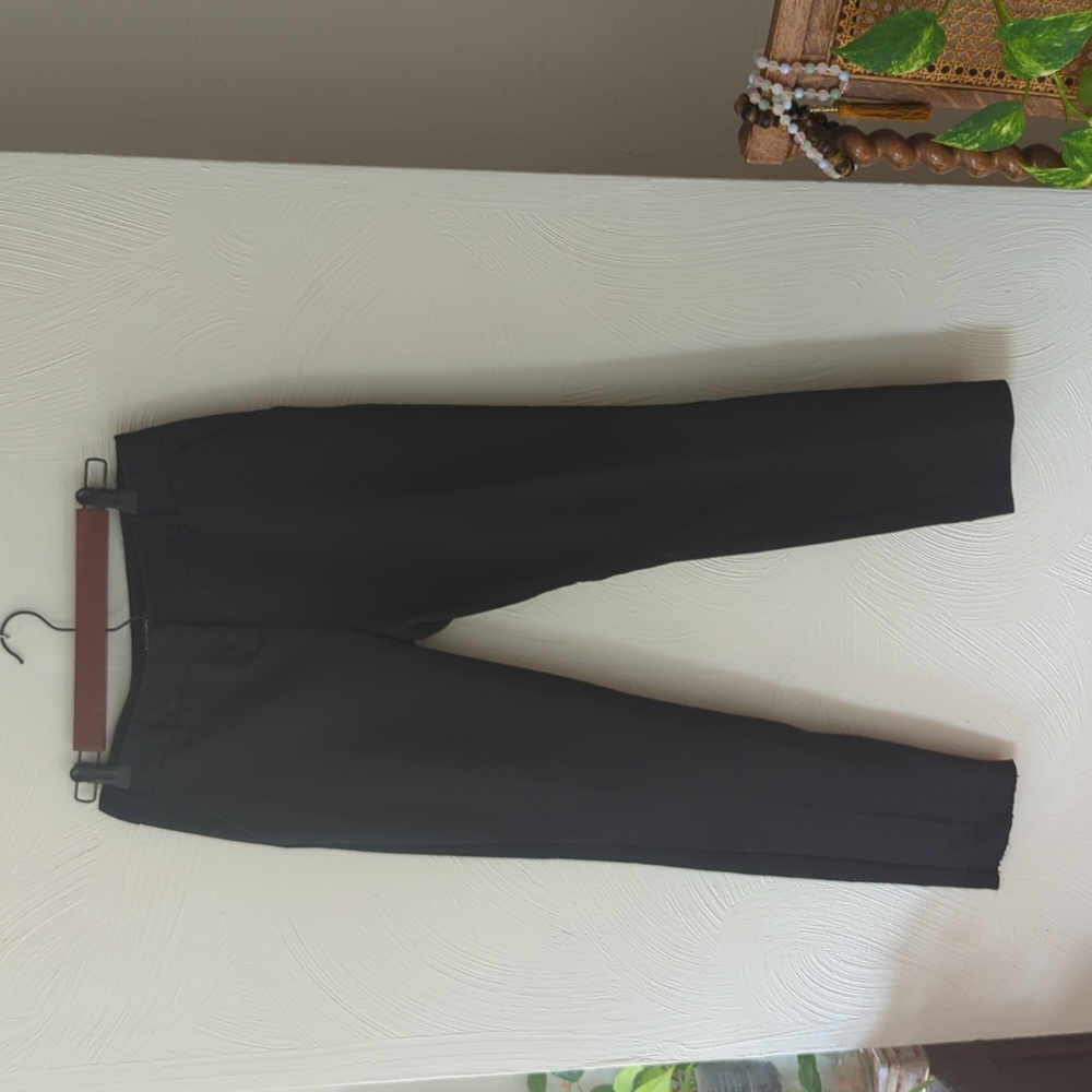 Express Columnist Pants Black 2R